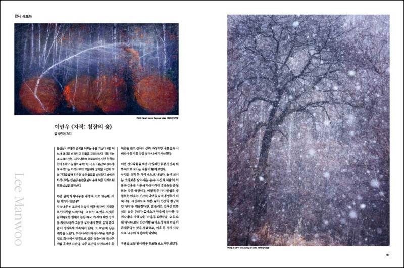 뉴페이스